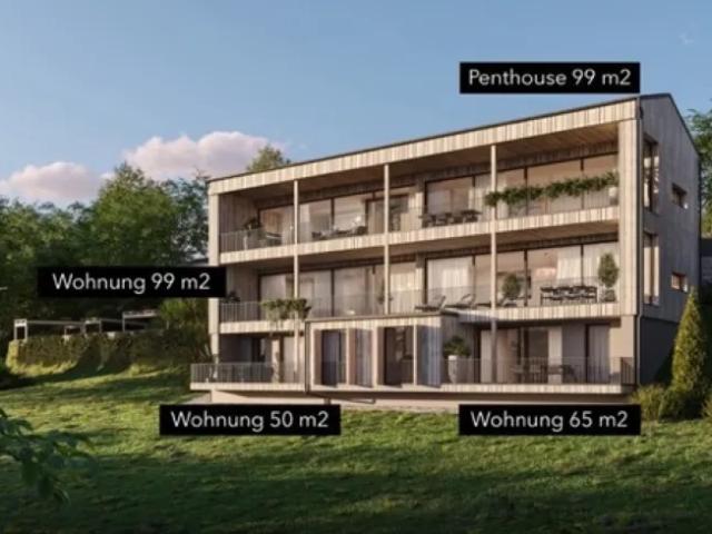 Zu Verkaufen Wohnung Millstatt Am See Millstatt Am See DS103124373