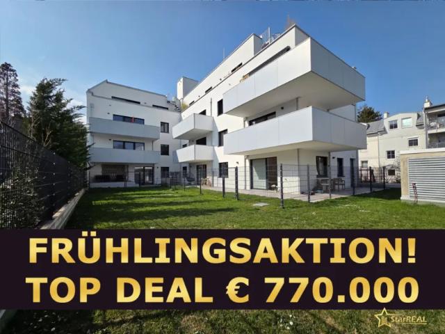 Zu Verkaufen Wohnung Mödling Mödling DS103158046