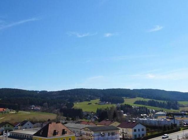 Zu Vermieten 3 Schlafzimmer Wohnung Oberösterreich Oberösterreich DS104785968