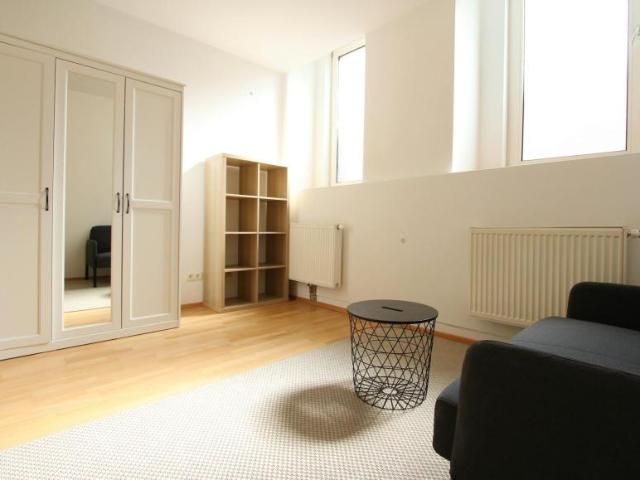 Zu Vermieten 1 Schlafzimmer Wohnung Vienna Vienna DS102114818