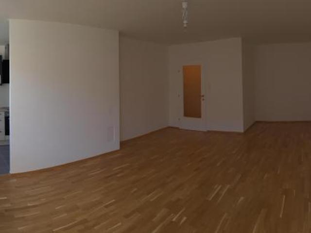 Zu Vermieten 1 Schlafzimmer Wohnung Wien AUT DS100409612