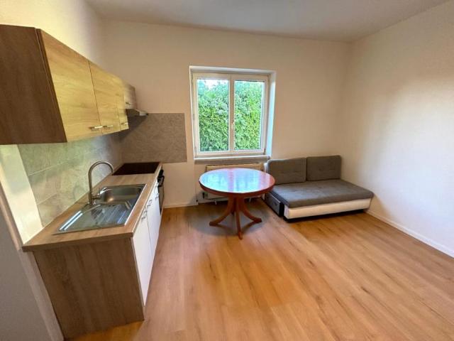 Zu Vermieten 1 Schlafzimmer Wohnung Asten Asten DS104643602