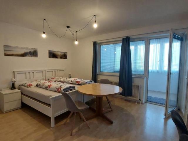 Zu Vermieten 1 Schlafzimmer Wohnung Leonding Leonding DS102847883