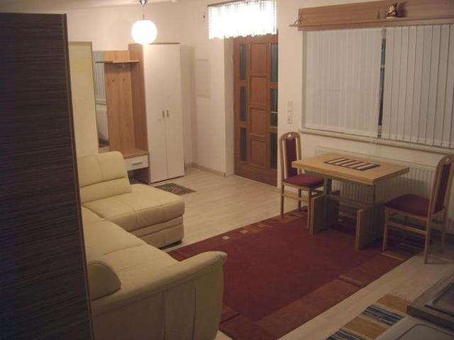 Zu Vermieten 1 Schlafzimmer Wohnung Leibnitz AUT DS102341241