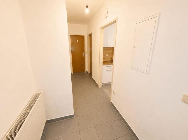 Zu Vermieten 1 Schlafzimmer Wohnung Mureck Mureck DS104108913