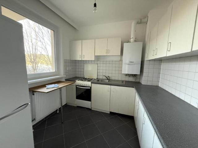 Zu Vermieten 1 Schlafzimmer Wohnung Purkersdorf AUT DS99823734