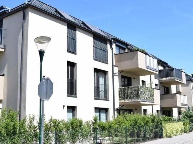 Zu Vermieten 2 Schlafzimmer Wohnung Niederösterreich Niederösterreich DS103154564