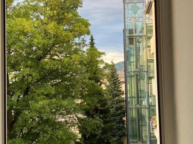 Zu Vermieten 2 Schlafzimmer Wohnung Oberösterreich Oberösterreich DS104293794