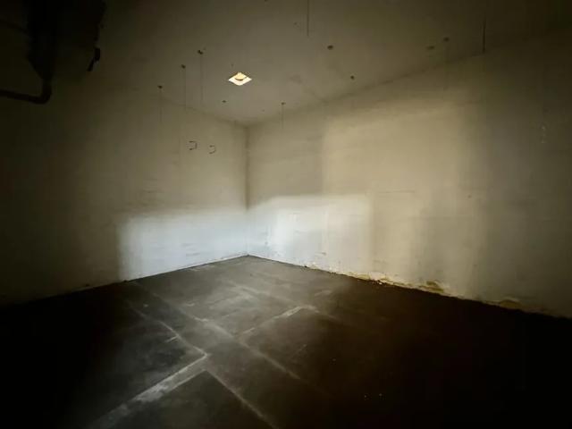 Zu Vermieten Hallen / Produktion Hainfeld Hainfeld DS103486293