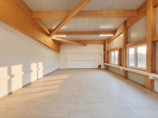 Zu Vermieten Hallen / Produktion Ratzersdorf An Der Traisen Ratzersdorf An Der Traisen DS103422981