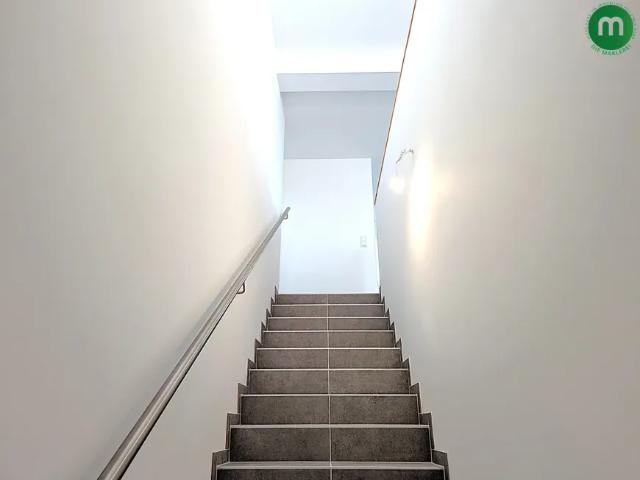 Zu Vermieten Wohnung Wien Wien DS103117485
