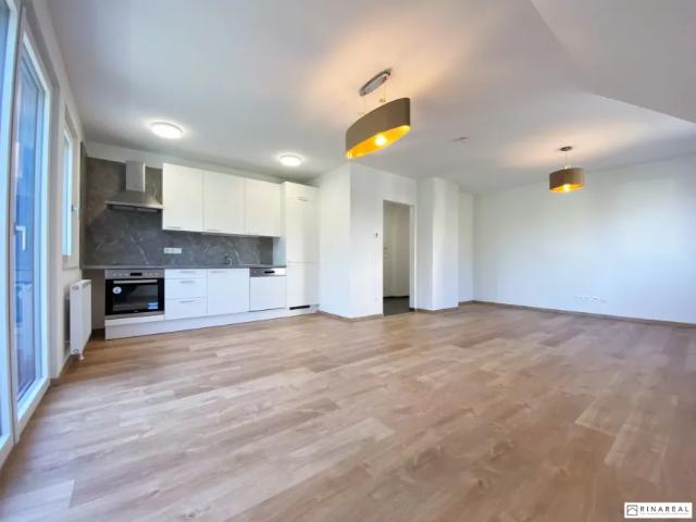 Zu Vermieten Wohnung Wiener Neustadt Wiener Neustadt DS103148874