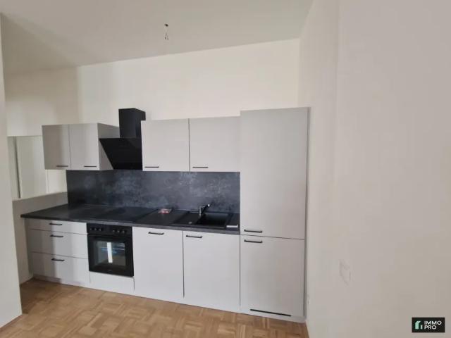 Zu Vermieten Wohnung Wildon Wildon DS103753696