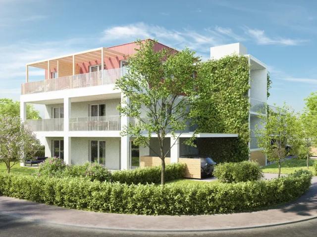 Zu Vermieten Wohnung Bad Radkersburg Bad Radkersburg DS103428337