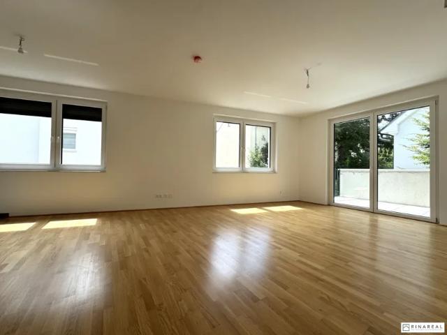 Zu Vermieten Wohnung Bad Vöslau Bad Vöslau DS103148948