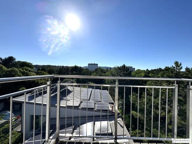 Zu Vermieten Wohnung Brunn Am Gebirge Brunn Am Gebirge DS103148639