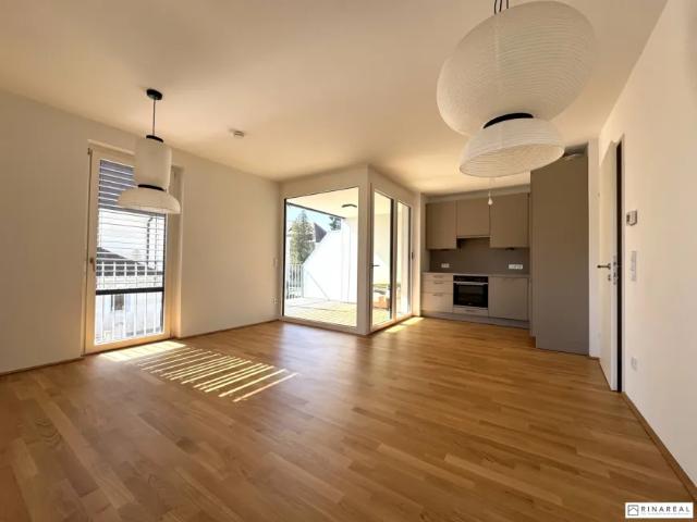 Zu Vermieten Wohnung Ebreichsdorf Ebreichsdorf DS103148932