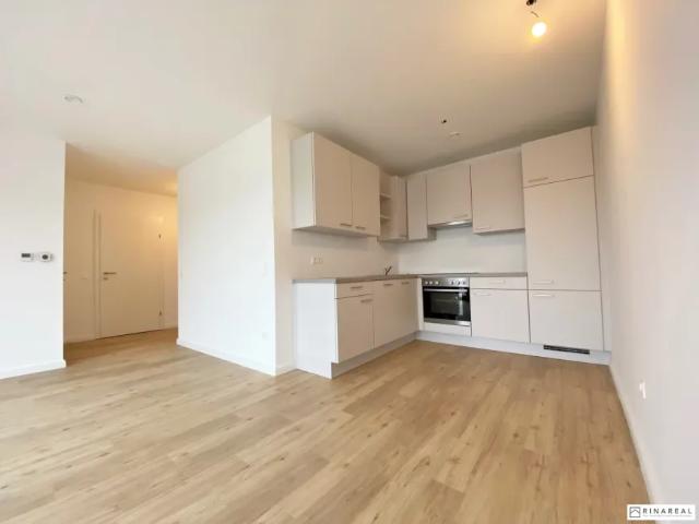 Zu Vermieten Wohnung Ebreichsdorf Ebreichsdorf DS103149330