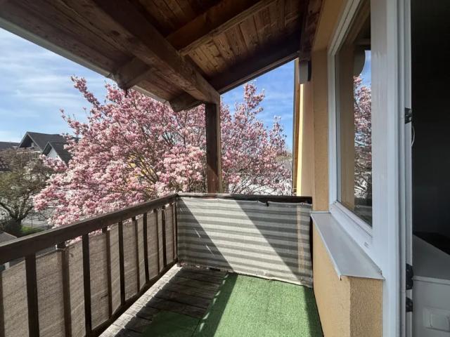 Zu Vermieten Wohnung Feldbach Feldbach DS103148143