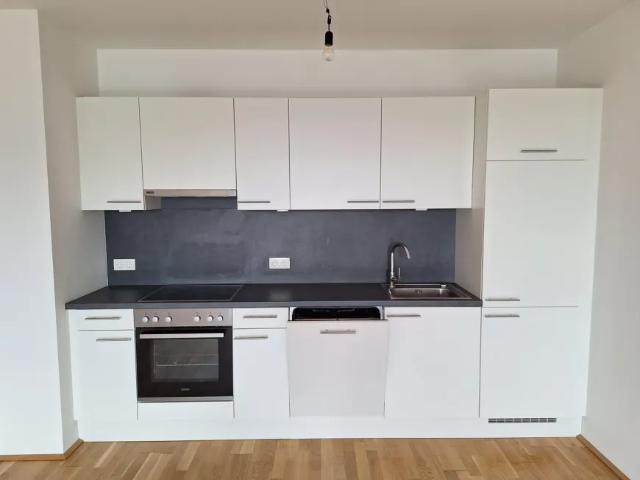 Zu Vermieten Wohnung Linz Linz DS103882615