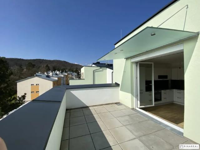 Zu Vermieten Wohnung Mödling Mödling DS103149291