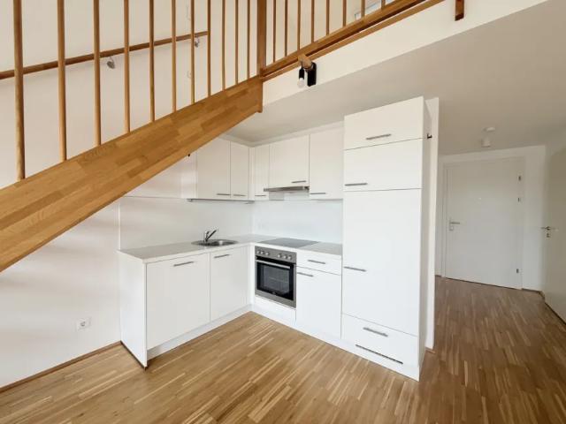 Zu Vermieten Wohnung Neusiedl Am See Neusiedl Am See DS104786118