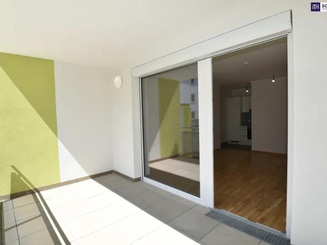 Zu Vermieten Wohnung Schwechat Schwechat DS103149133