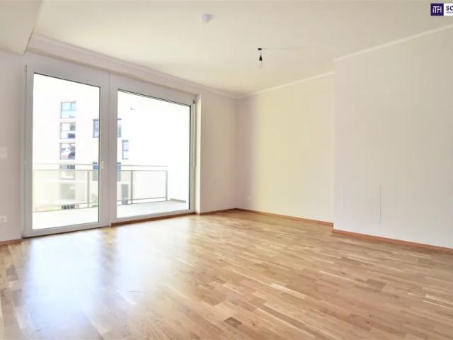 Zu Vermieten Wohnung Schwechat Schwechat DS103149308