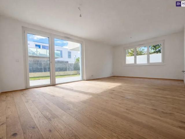 Zu Vermieten Wohnung Schwechat Schwechat DS103428879