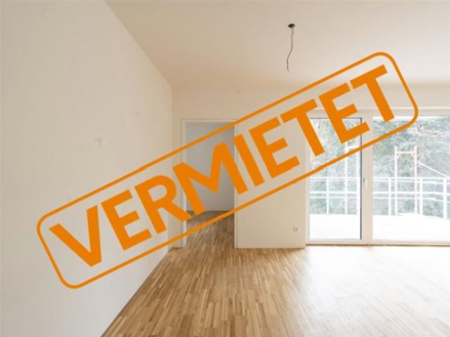ZU MIETEN Moderne 3 Zimmer Wohnung mit Terrasse und Stadtblick in Nettingsdorf