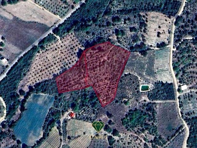 ZÜMRÜT'TEN TOROSLAR ARSLANKÖY'DE 12.283 M2 SATILIK BAHÇE