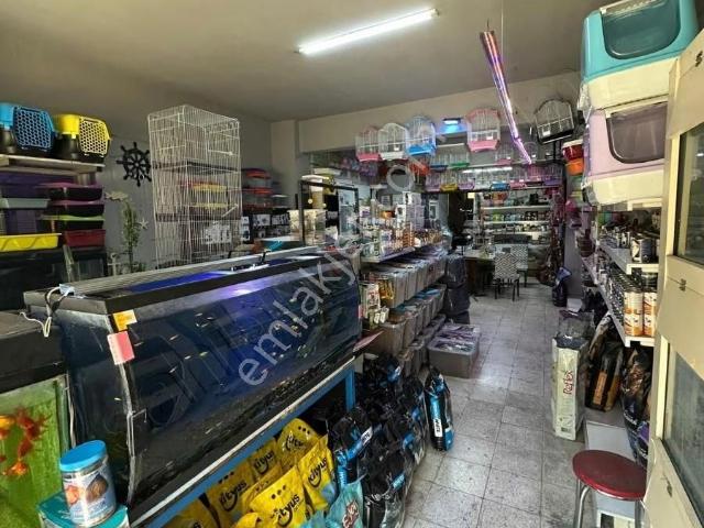 Zübeyde Hanım Caddesinde Devren Kiralık Pet Shop