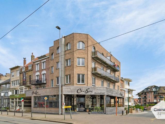 Zuidgericht appartement op toplocatie in De Panne