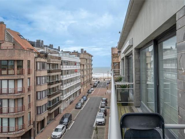 Zuidgerichte studio met zijdelings zeezicht op 50m wandelafstand van de zeedijk Albertstrand