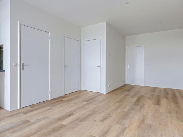 Zuidhoek