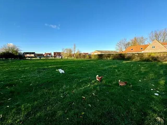 Zuytpeene 59670 Achat / Vente terrain