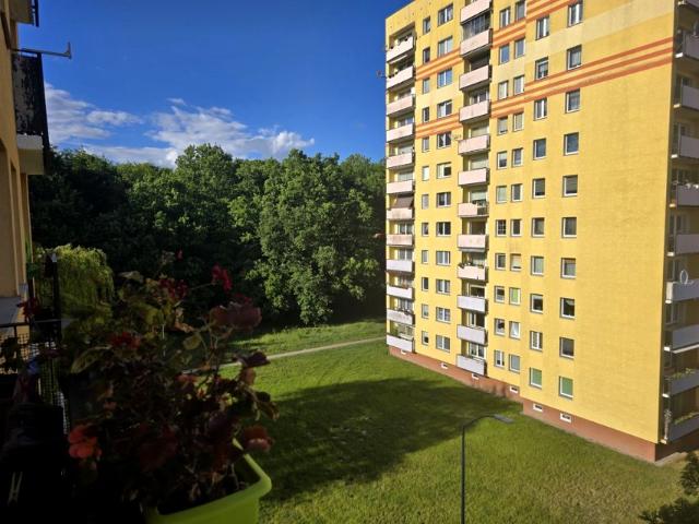 Zygmunta Wróblewskiego 48,07 m², Police