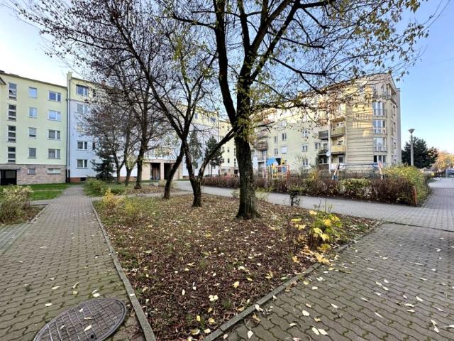 Zygmunta Starego 63 m², Poznań