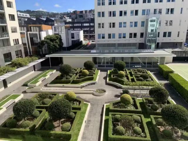 A32/10 Ebor Street, Te Aro, Wellington City