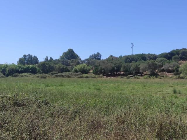 A muy poca distancia de Tarifa se encuentra esta preciosa fi. 0m² Tarifa