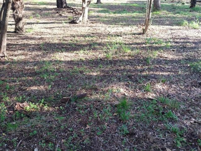 À Ouveillan 11, terrain constructible de 449m2 à vendre