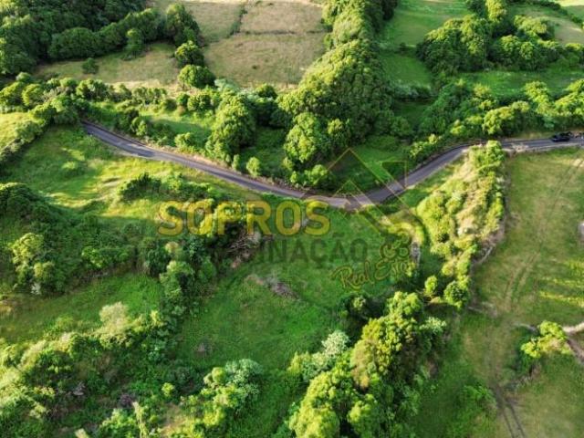 Açores Angra do Heroísmo 9700 105150176