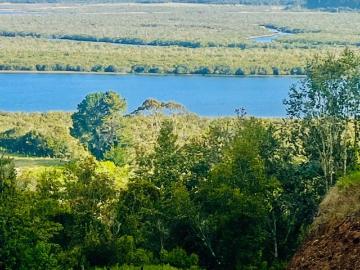 A ORILLAS DE RIO MAULLIN