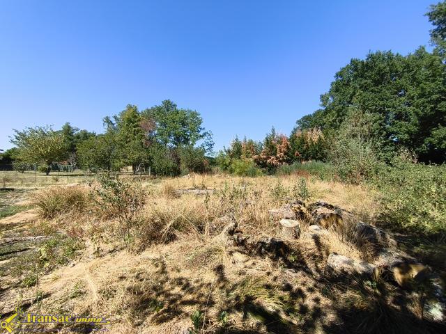 À Orléat, terrain constructible de 1295m2