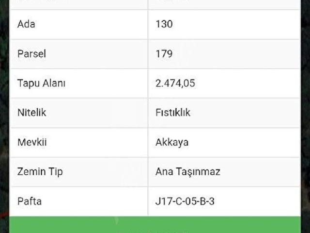 aşağıbey satılık fıstıklık