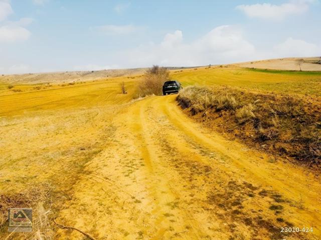 AŞAĞIKAMIŞLIDA 4052M2 TEKTAPU YOL CEPHELİ KELEPİR ARAZİ