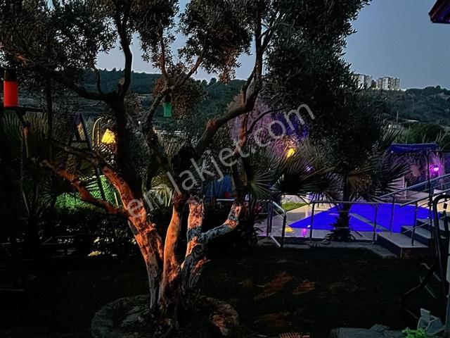 Ağaçlıda Havuzlu, Tek Katlı, Eşyalı, Müstakil Ev