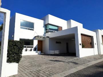 Casa en Renta en Privada los Encinos Juriquilla Qro. Seg 24 Horas