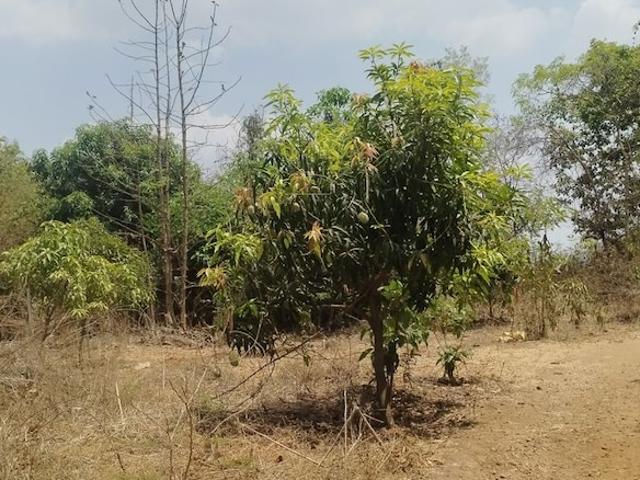 A D Sivana Commercial Land 141 Sq. Ft. in Murbad Thane Listing ID: #10302