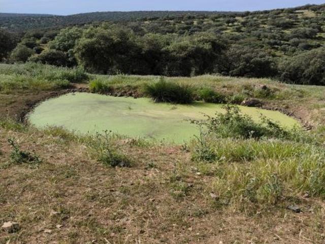 A. Finca Rústica en Fuente Obejuna